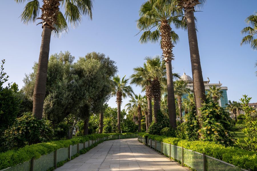 Garden Of Sun Hotel – görsel 6: Tesis