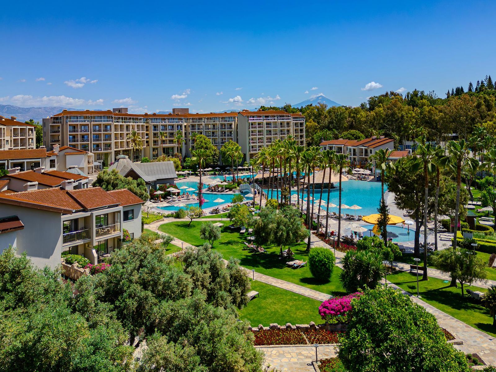 Arum Barut Collection – görsel 1: Genel Görünüm