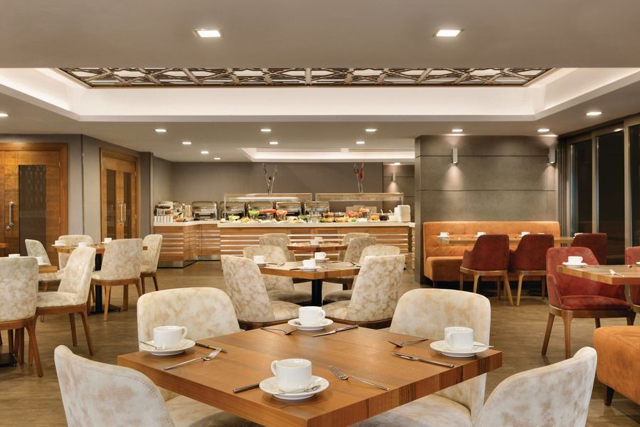 Ramada By Wyndham Bursa Çekirge Termal & Spa – görsel 6: 