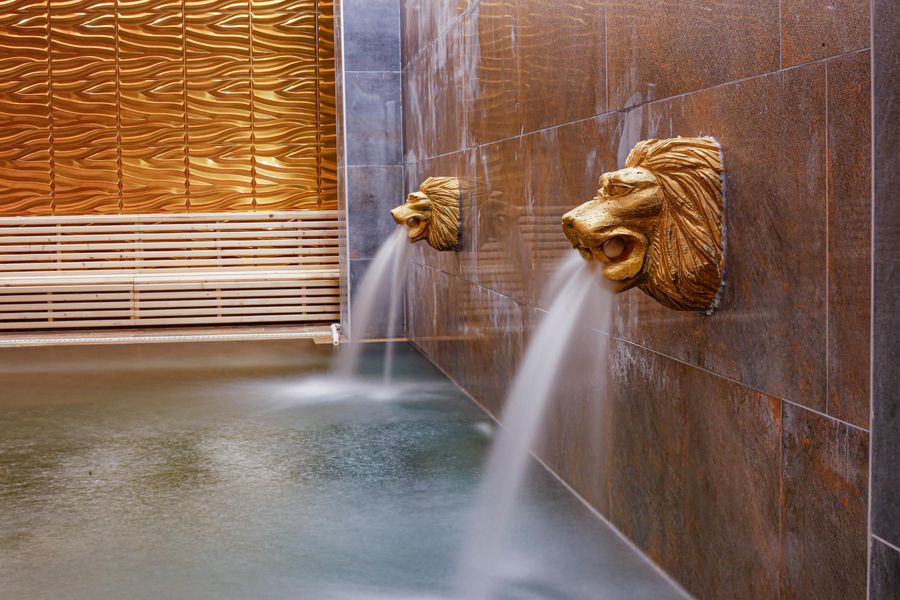 Vital Thermal Hotel & Spa – görsel 3: 