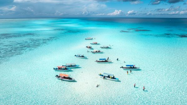 Afrika’nın Kalbi: Tanzanya & Zanzibar (THY)