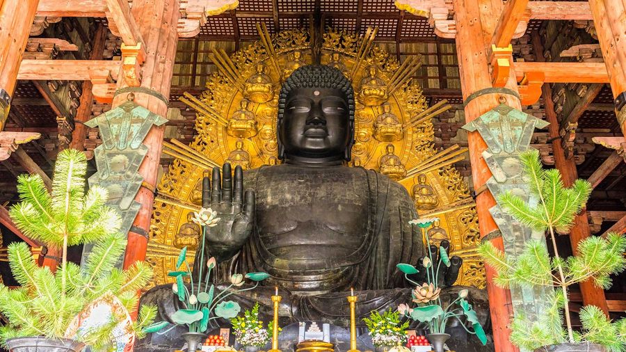 Doğan Güneşin Ülkesi Japonya (THY) – Nara