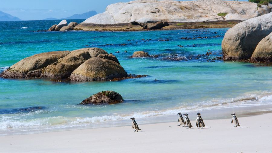 Flex Güney Afrika & Safari (THY) – Capetown