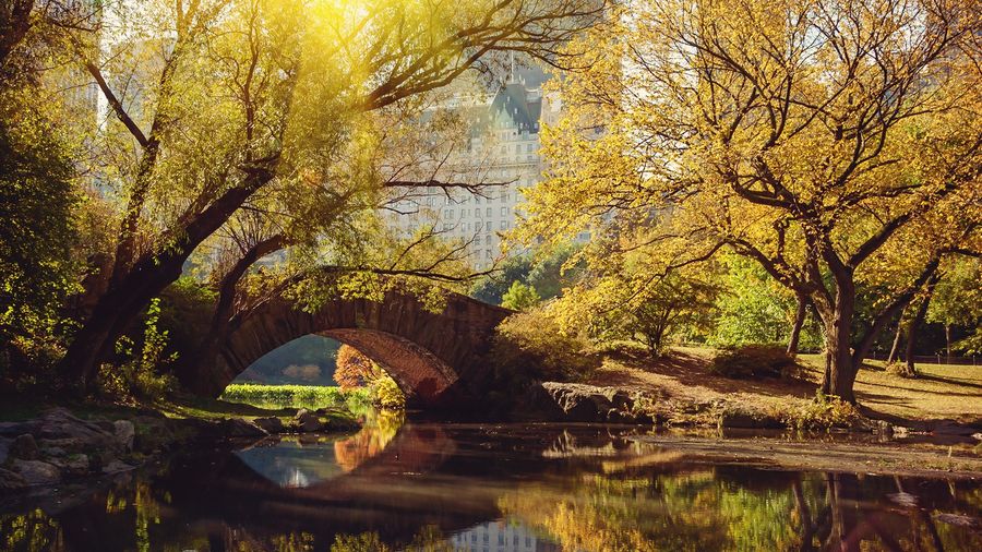 New York – 5 Gece 7 Gün (THY) – Newyork